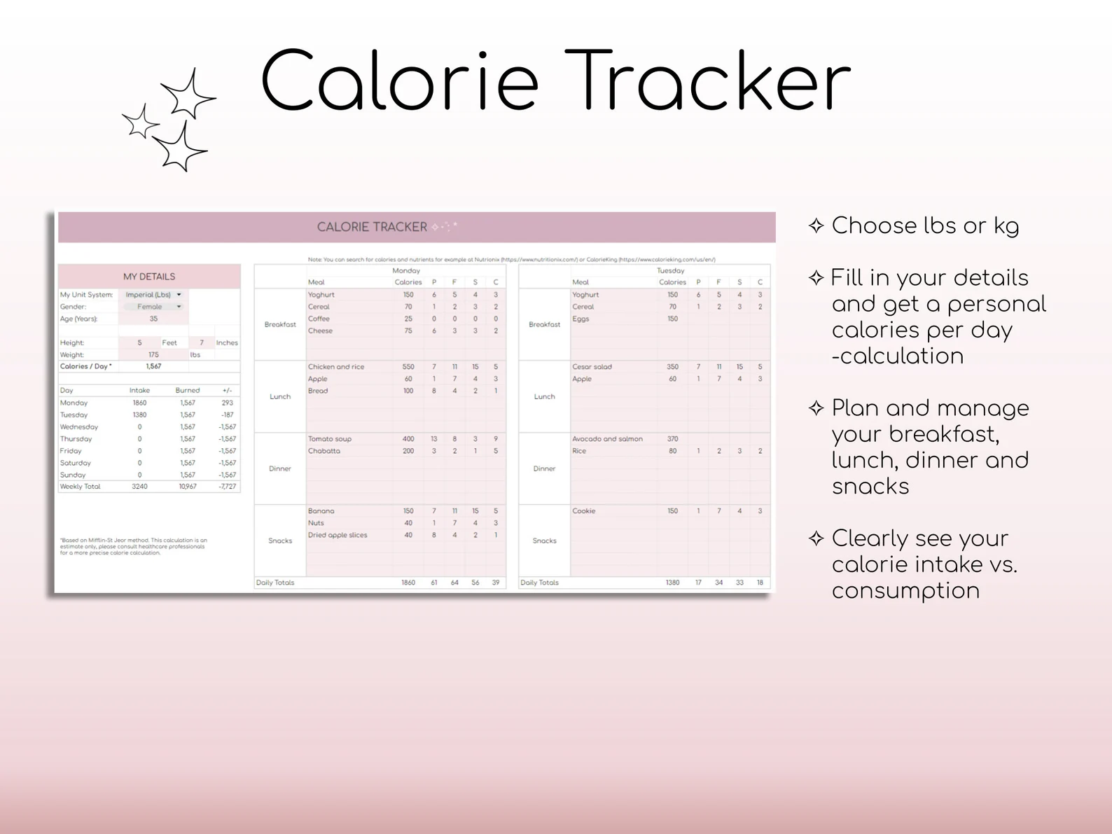 All-in-One Weight Loss & Fitness Tracker | Google Sheets Calorie & Workout Planner | Digital Habit, Meal & Body Measurement Tracker | Health & Fitness Spreadsheet - Image 7